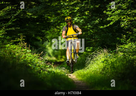 Le vélo de montagne Vélo jaune dans les bois Banque D'Images