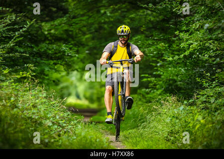 Le vélo de montagne Vélo jaune dans les bois Banque D'Images