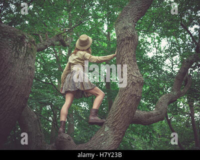 Une jeune femme portant un chapeau de safari est l'escalade un arbre dans la forêt