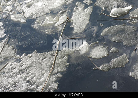 La glace dans la rivière Neva St Petersburg Banque D'Images