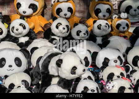 Panda en peluche poupées pour la vente à l'extérieur de la Base de Pandas de Chengdu dans la province du Sichuan, Chine Banque D'Images