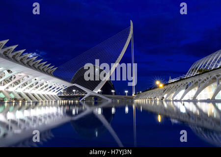 Valencia, Espagne - vue panoramique de la Cité des Arts et des Sciences et Centre océanographique de nuit Banque D'Images