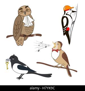Ensemble de dessins d'oiseaux. Owl, pic, Magpie, Nightingale. Illustration de Vecteur