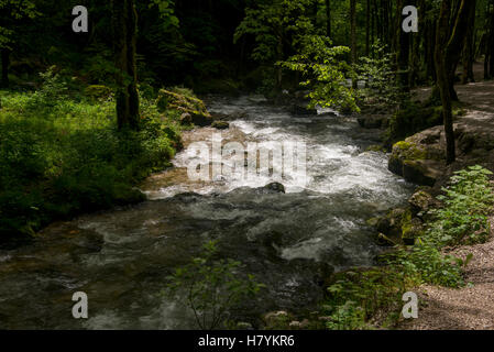 Hérisson tombe, ou les cascades du cascades du Hérisson dans le Jura, de France Banque D'Images