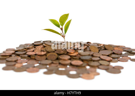 Close-up de plante pousse à partir de la pile de pièces de monnaie Banque D'Images