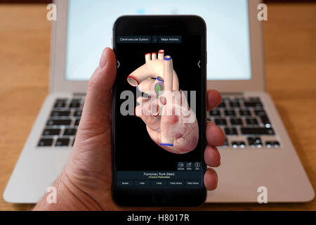 À l'aide d'iPhone smartphone pour afficher l'image 3D de coeur humain de l'éducation anatomie app Banque D'Images