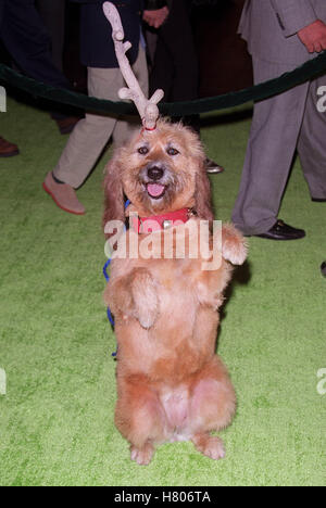 MAX. 'Le Grinch' LE PREMIER MINISTRE DE LA UNIVERSAL STUDIOS BURBANK LA USA 08 novembre 2000 Banque D'Images