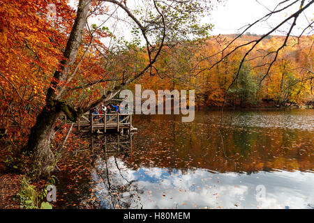 BOLU, TURQUIE - 06 NOVEMBRE 2016 : Voir des gens en forêt avec les feuilles tombées et le lac avec reflet dans Yedigoller. Yedigoller Banque D'Images