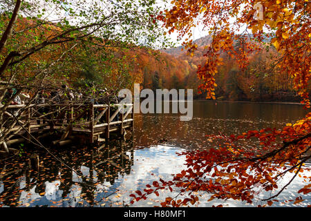 BOLU, TURQUIE - 06 NOVEMBRE 2016 : Voir des gens en forêt avec les feuilles tombées et le lac avec reflet dans Yedigoller. Yedigoller Banque D'Images