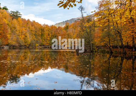 BOLU, TURQUIE - 06 NOVEMBRE 2016 : Voir des gens en forêt avec les feuilles tombées et le lac avec reflet dans Yedigoller. Yedigoller Banque D'Images