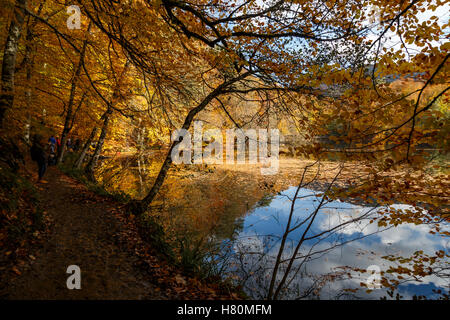 BOLU, TURQUIE - 06 NOVEMBRE 2016 : Voir des gens en forêt avec les feuilles tombées et le lac avec reflet dans Yedigoller. Yedigoller Banque D'Images