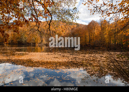 BOLU, TURQUIE - 06 NOVEMBRE 2016 : Voir des gens en forêt avec les feuilles tombées et le lac avec reflet dans Yedigoller. Yedigoller Banque D'Images