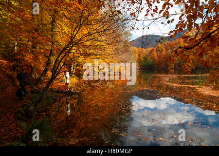 BOLU, TURQUIE - 06 NOVEMBRE 2016 : Voir des gens en forêt avec les feuilles tombées et le lac avec reflet dans Yedigoller. Yedigoller Banque D'Images