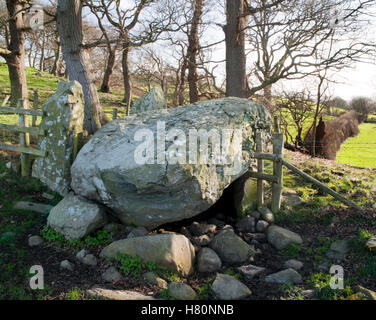 Voir SSE de Hendre Waelod chambre funéraire, vallée de Conwy, montrant les deux pierres du portail (L) & chambre massive capstone en partie glissé. Banque D'Images