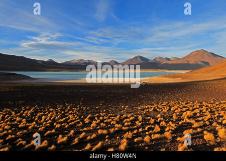 Laguna Verde, green lagoon en Bolivie Banque D'Images