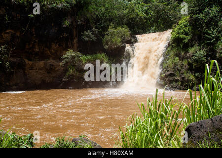 Waimea falls après de fortes pluies dans la vallée de Waimea sur Oahu, Hawaii, USA. Banque D'Images