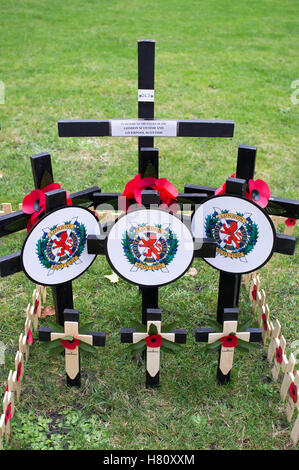 Londres, Royaume-Uni. 05Th Nov, 2016. Des milliers de coquelicots sont mis dans le sol de la cour arrière de l'abbaye de Westminster, pour commémorer les troupes britanniques qui sont morts dans la PREMIÈRE GUERRE MONDIALE ET LA DEUXIÈME GUERRE MONDIALE. Credit : Alberto Pezzali/Pacific Press/Alamy Live News Banque D'Images