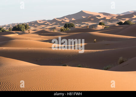 Le Maroc, l'Erg Chebbi, dunes de sable dans le désert du Sahara, près de Merzouga Banque D'Images