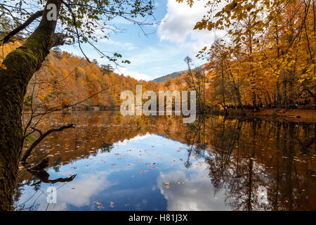 BOLU, TURQUIE - 06 NOVEMBRE 2016 : Voir des gens en forêt avec les feuilles tombées et le lac avec reflet dans Yedigoller. Yedigoller Banque D'Images