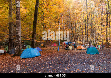 BOLU, TURQUIE - 06 NOVEMBRE 2016 : Les gens du camping en forêt avec les feuilles tombées, la période automnale à Yedigoller. Aussi, Yedigoller kno Banque D'Images