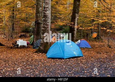 BOLU, TURQUIE - 06 NOVEMBRE 2016 : Les gens du camping en forêt avec les feuilles tombées, la période automnale à Yedigoller. Aussi, Yedigoller kno Banque D'Images