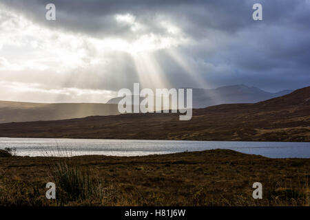 La lumière du soleil, les arbres de lairg, Sutherland, Scotland, united kingdom Banque D'Images