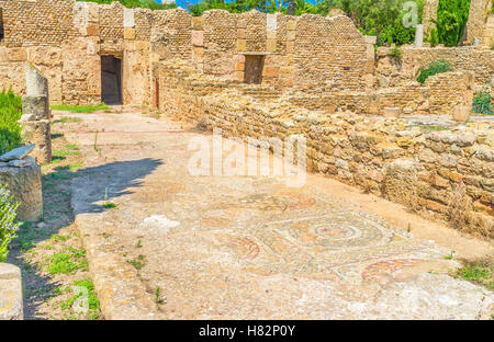 Les mosaïques romaines sont les grands exemples de l'art antique, Carthage, Tunisie. Banque D'Images