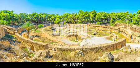 Le mauvais amphithéâtre préservé entouré de verdure du parc de conifères, Carthage, Tunisie. Banque D'Images