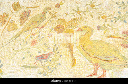 Les anciennes mosaïques, représentant des oiseaux et des plantes différentes dans le site archéologique de villas romaines, Carthage Banque D'Images