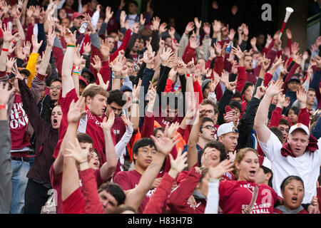 23 octobre 2010, Stanford, CA, USA ; Stanford Cardinal fans célèbre après un touché contre les Cougars de l'État de Washington au cours du deuxième trimestre à la Stanford Stadium. Banque D'Images