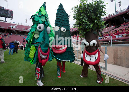 23 octobre 2010, Stanford, CA, USA ; la version de la Stanford Cardinal mascot effectuer à l'écart avant le match contre les Couguars de l'État de Washington à la Stanford Stadium. Banque D'Images