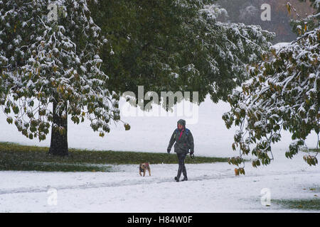 Riverside Gardens, Ilkley, West Yorkshire, Royaume-Uni. 9 novembre 2016. Lone dog walker dans l'imperméable, bottes et avec capot, brave les éléments dans le parc, après la première chute de neige de Ilkley 2016. Crédit : Ian Lamond/Alamy Live News Banque D'Images