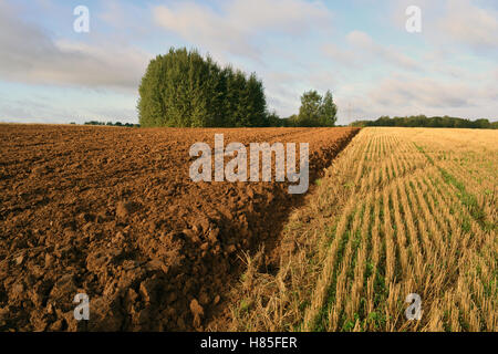 Terrain agricole labourée en automne temps Banque D'Images