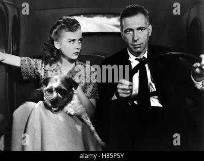 Entscheidung in der Sierra, (HIGH SIERRA) USA 1941 s/w, Regie : Raoul Walsh, IDA Lupino, Humphrey Bogart, clé : paar im Auto, Hund Banque D'Images