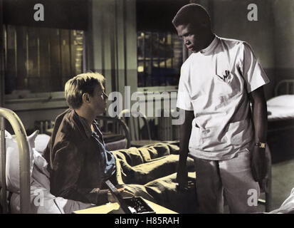 Der Haß ist blind, (NO WAY OUT) USA 1950, Regie : Joseph L. Mankiewicz, Richard Widmark, Sidney Poitier, Ausdruck : Arzt, Krankenhaus Banque D'Images