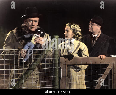 Dreiundzwanzig Schritte zum Abgrund, (23 CADENCES POUR BAKER STREET) USA 1956, Regie : Henry Hathaway, VAN JOHNSON, VERA MILES, Cecil Parker Banque D'Images