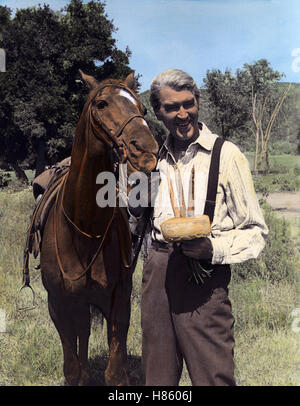 Der Mann vom großen Fluß, (SHENANDOAH) USA 1965, Regie : Andrew C. McLaglen, JAMES STEWART, Ausdruck : Pferd Banque D'Images