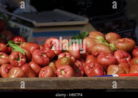 Pommes de cire ou bell fruits (Syzygium samarangense) sont un fruit populaire à Taiwan Banque D'Images