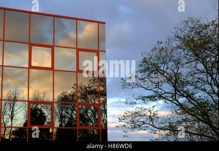 Les arbres d'automne partie reflétée dans le mur de verre d'un immeuble moderne Banque D'Images