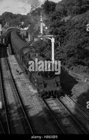 Numéro de réservoir Standard 80136 à Goathland pendant l'automne gallois sur le gala vapeur NYMR North York Moors Railway. Banque D'Images