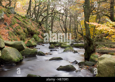 Burbage Brook coule dans la vallée boisée de la rivière rocheuse de Padley Gorge, Longshaw Estate, Peak District, Derbyshire, Royaume-Uni Banque D'Images