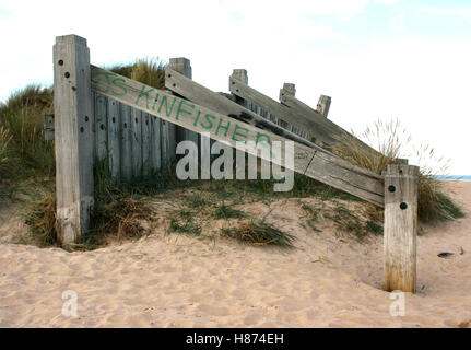 Dune de sable Graffiti marqué de défense construite sur la plage de Kinloss, nord-est de l'Écosse pour réduire l'érosion éolienne en mer du Nord Banque D'Images