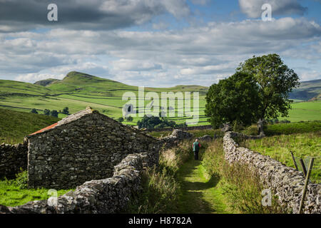 Le paysage autour de Stainforth, Yorkshire, UK. Banque D'Images