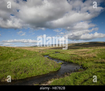 Le paysage autour de Stainforth, Yorkshire, UK. Banque D'Images