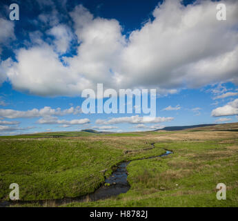 Le paysage autour de Stainforth, Yorkshire, UK. Banque D'Images