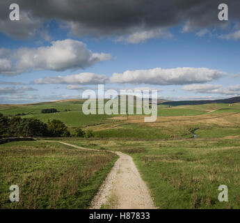 La piste de Malham de Stainforth, Yorkshire Dales, au Royaume-Uni. Banque D'Images
