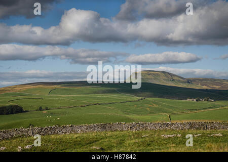 Le paysage autour de Stainforth, Yorkshire, UK. Banque D'Images