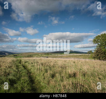 Le paysage autour de Stainforth, Yorkshire, UK. Banque D'Images