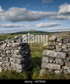 Le paysage autour de Stainforth, Yorkshire, UK. Banque D'Images