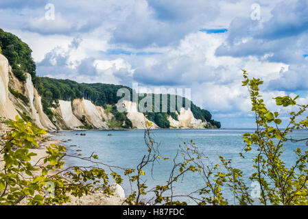 La falaise de craie Parc National de Jasmund, près de Königsstuhl (Président) du Roi sur l'île de Rügen, Mecklenburg-Vorpommern, Allemagne Banque D'Images